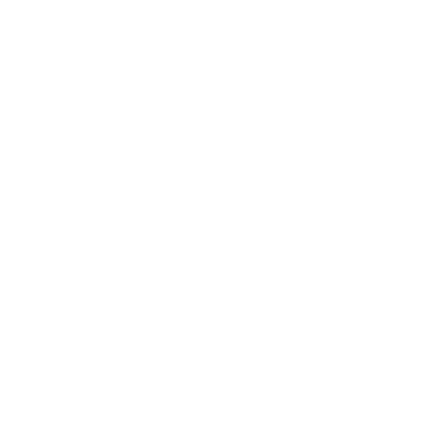 Twitter Logo White